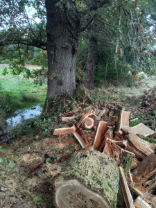 Photo de galerie - Bois de chauffage 