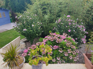 Photo de galerie - Entretien floral 