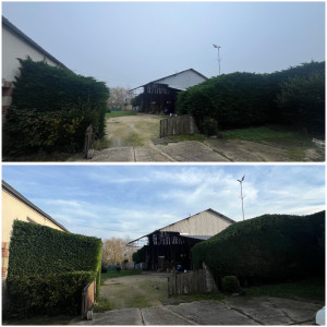 Photo de galerie - Taille de haie 