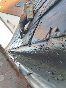 Photo de galerie - Jardinier