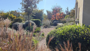 Photo de galerie - Entretien de jardin 