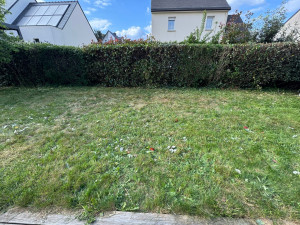 Photo de galerie - Taille d une haie 