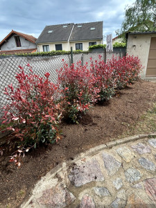 Photo de galerie - Paysagiste - Aménagement du jardin