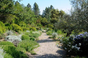 Photo de galerie - Paysagiste - Aménagement du jardin