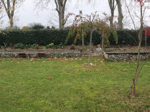 Photo de galerie - Réalisation d'une séparation jardin avec des gabions.