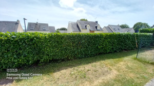 Photo de galerie - Taille 
