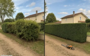 Photo de galerie - Entretien espaces verts 
élagage et Abattage d'arbres 

