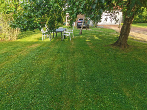 Photo de galerie - Tonte de pelouse 