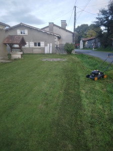 Photo de galerie - Tonte de pelouse - Débroussaillage