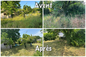 Photo de galerie - Débroussaillage de votre terrain 