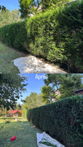 Photo de galerie - Impeccable !! 