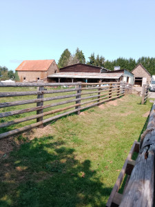 Photo de galerie - Paysagiste - Aménagement du jardin