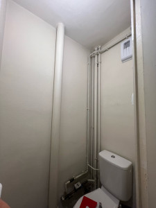 Photo de galerie - Pose du papier peint sur la sanitaire, plus la décoration