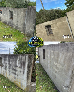 Photo de galerie - Nettoyage de murets et application produit anti mousse