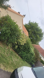 Photo de galerie - Avant