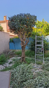 Photo de galerie - Après 