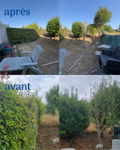 Photo de galerie - Paysagiste - Aménagement du jardin