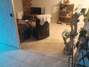 Photo de galerie - Pose de parquet - Revêtement de sol