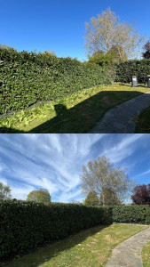 Photo de galerie - Taille annuelle 