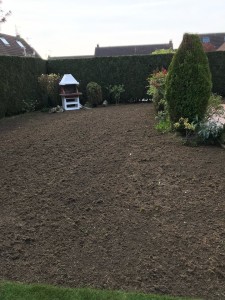 Photo de galerie - Paysagiste - Aménagement du jardin