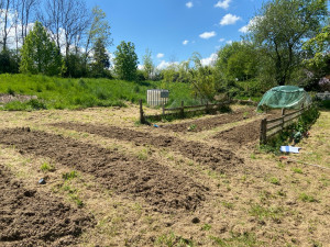 Photo de galerie - Paysagiste - Aménagement du jardin