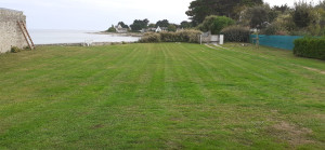 Photo de galerie - Tonte pelouse 