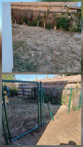 Photo de galerie - Création d'une clôture avec portillon pour y accueillir un chien