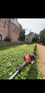 Photo de galerie - Taille d’une haie de charmilles 