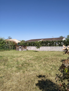 Photo de galerie - Tonte et débroussaillage après 