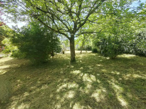 Photo de galerie - Débroussaillage + tonte d'un terrain sur 3 terrains de 800m2 en friche à l'origine, voici le résultat après notre passage chez notre client. 