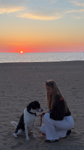 Photo de galerie - Garde chien