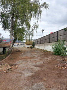 Photo de galerie - Tonte de pelouse - Débroussaillage