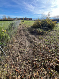 Photo de galerie - Entretien de clôture avec débroussaillage et coupe d’arbre – travail soigné pour éviter que la clôture ne soit endommagée par la pousse des arbres ou envahie par les broussailles au fil du temps. 
