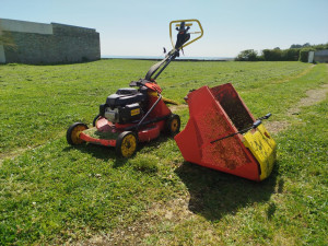 Photo de galerie - Tonde pelouse 