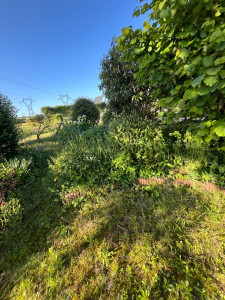 Photo de galerie - Jardinier