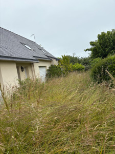 Photo de galerie - On se croirait dans une forêt??