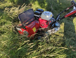 Photo de galerie - Voici une photo de réalisation proposée pour un Voisin