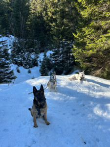 Photo de galerie - Petite balade en montagne 