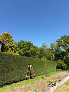 Photo de galerie - Taille