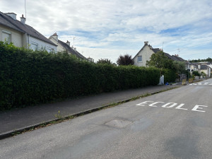 Photo de galerie - Taille de haies et d'arbustes