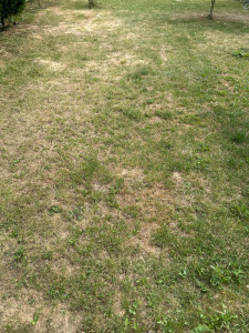 Photo de galerie - ´