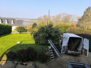 Photo de galerie - Taille de haies et d'arbustes