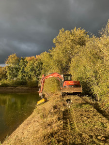 Photo de galerie - Tonte de pelouse - Débroussaillage