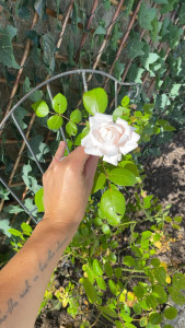 Photo de galerie - Jardinage