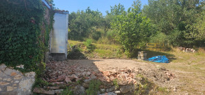 Photo de galerie - Paysagiste - Aménagement du jardin