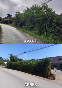Photo de galerie - Taille d'une haie et débroussaillage 