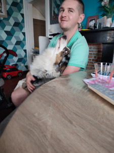 Photo de galerie - Garde chien