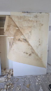 Photo de galerie - Peinture - Tapisserie