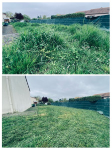 Photo de galerie - Débroussaillage et tonte de pelouse en utilisant la technique du mulching