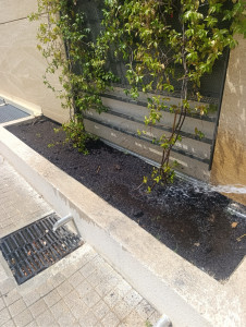 Photo de galerie - Jardinier